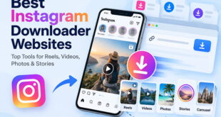 Best Instagram Downloader Websites
