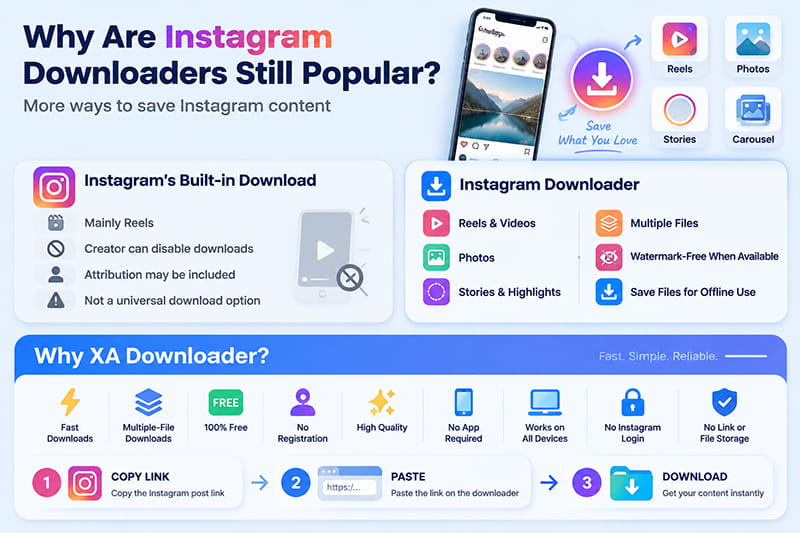 infographic Best Instagram Downloader Websites
